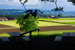 grillplatz hoerstetten